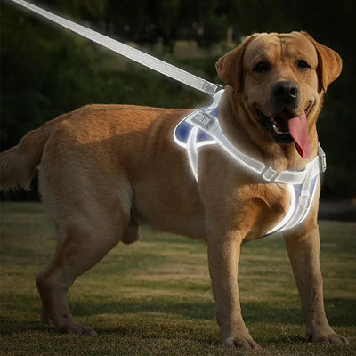 Dog Harness Vest