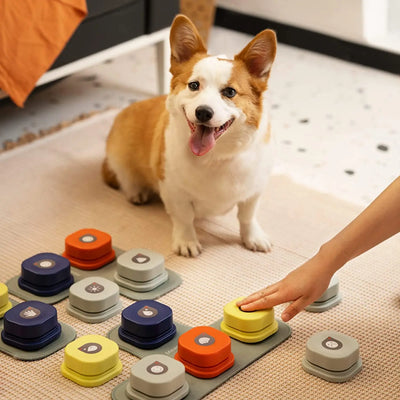 Dog Training Interactive Bell