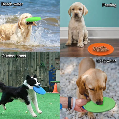 Fashion Dog Toy Flying Discs