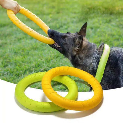 Dog Ring Toys
