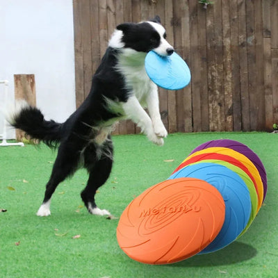 Fashion Dog Toy Flying Discs