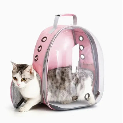 Pets Transparent Suitcase PetPalette